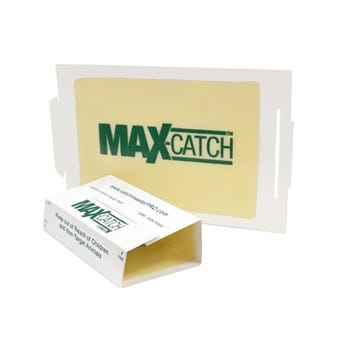 Catchmaster 72MAX Mouse Glue Board - Unscented