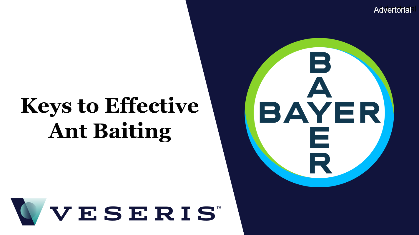 Keys to Effective Ant Baiting