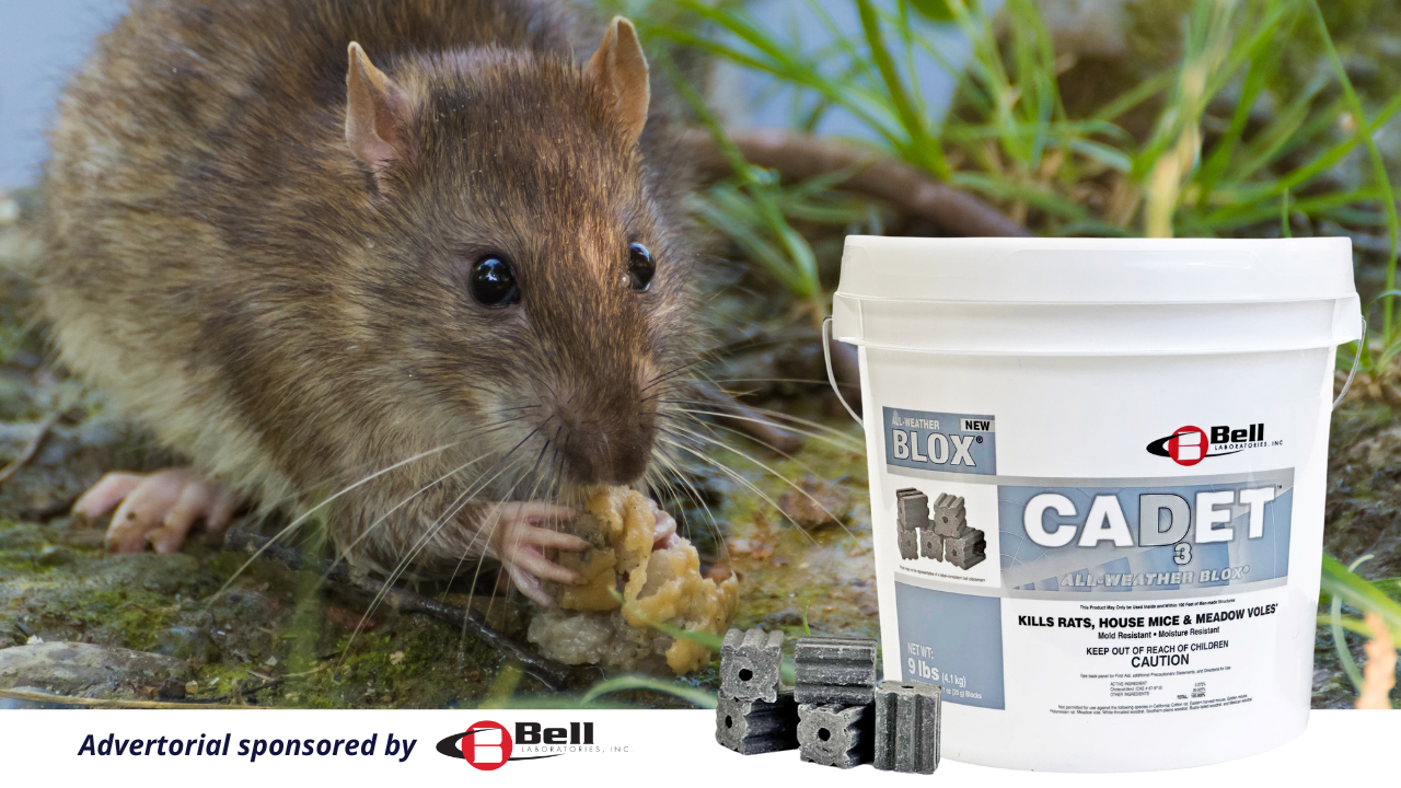 Bell’s new D3 bait CADET™ All-Weather BLOX™ is now available in California!