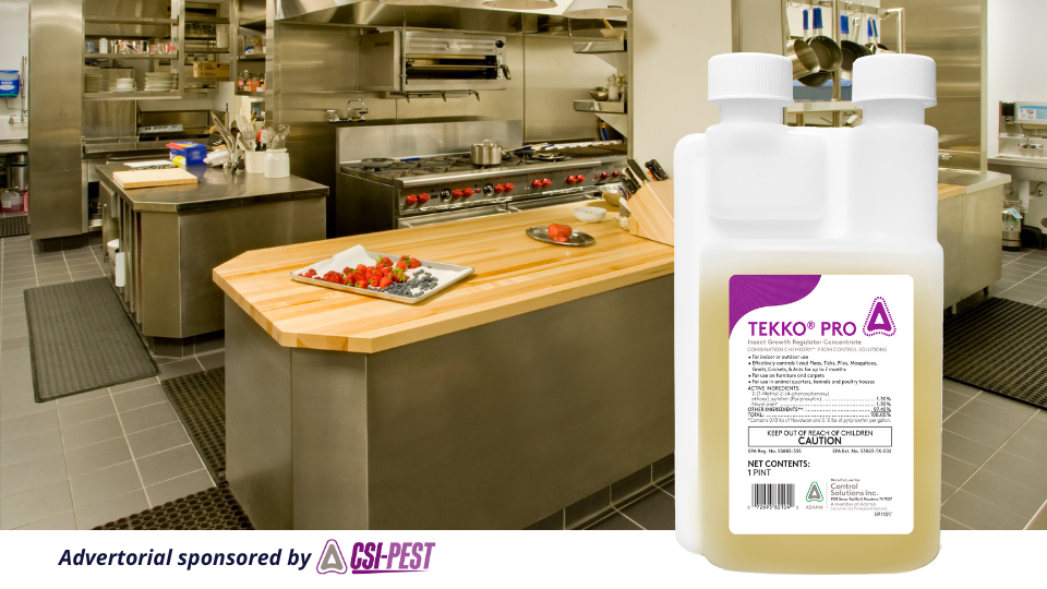 Achieve effective and long-lasting control of public health and nuisance pests, like small flies.