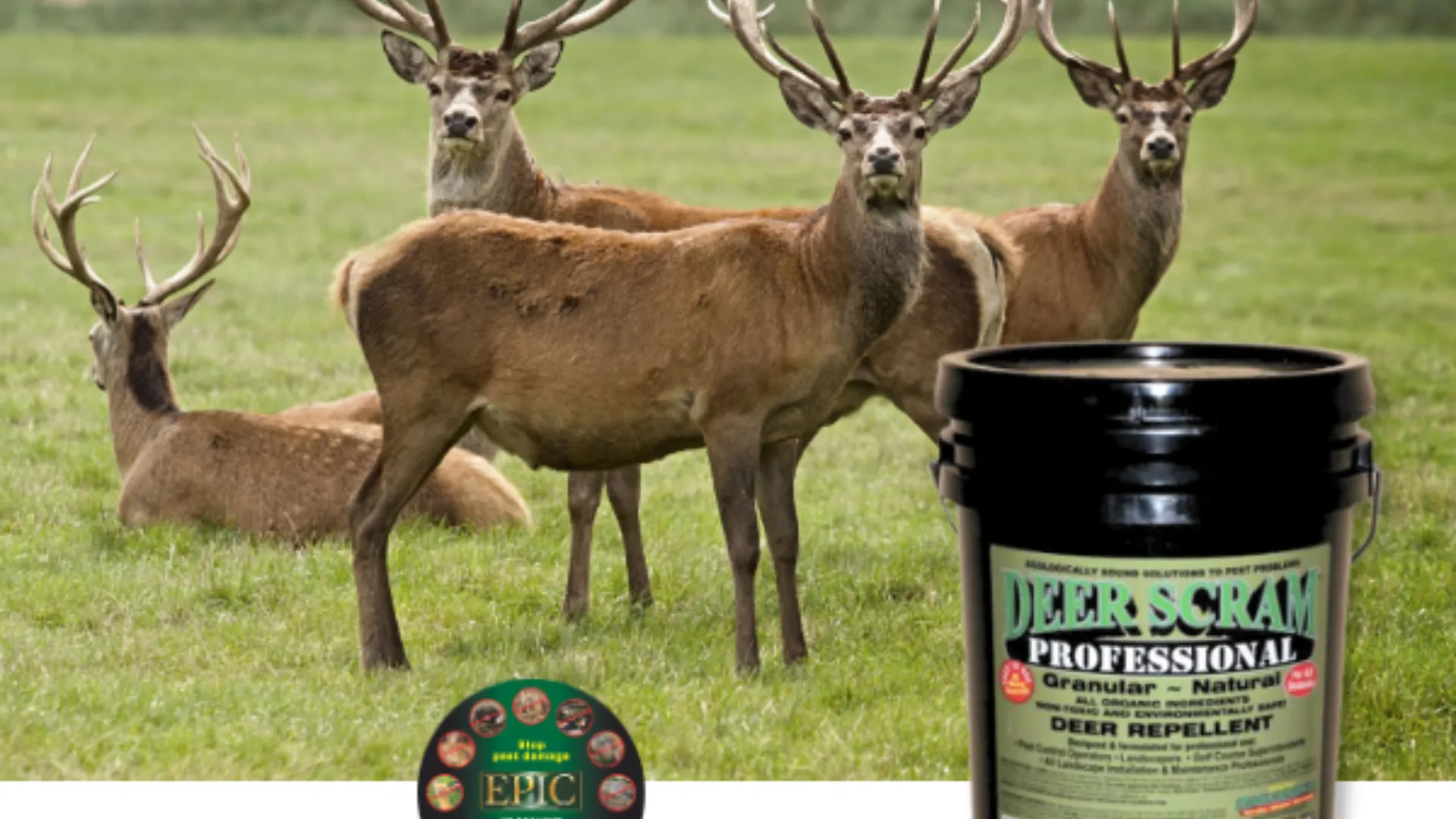 EPIC Builds Animal Behavior, Ecology and Safety Into Animal Repellents
