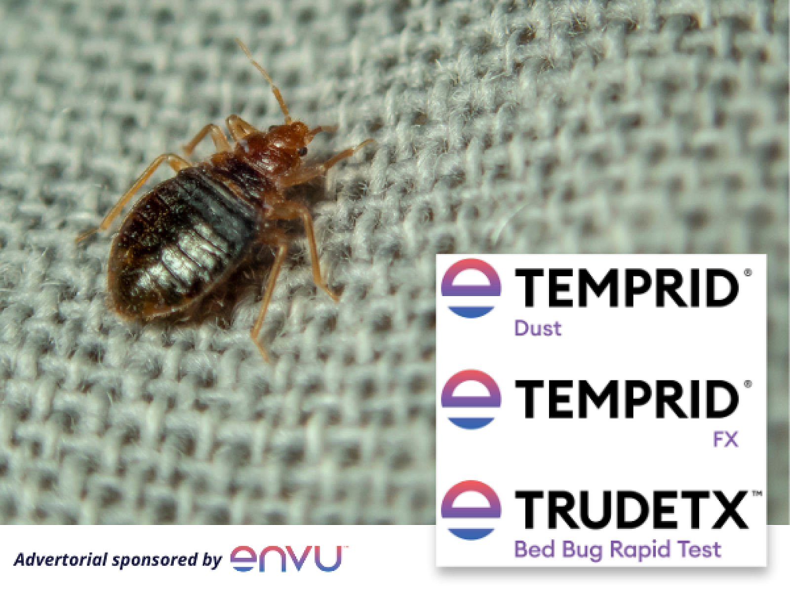 Why Dust Should Be Part of Your Bed Bug Program