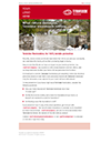 BASF Absolute Ant Control Brochure