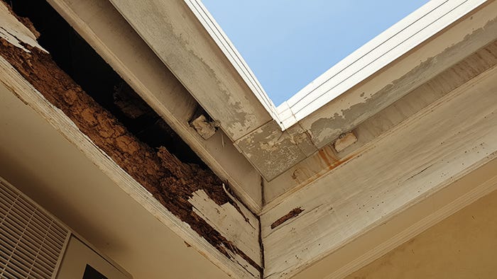 Termite Damage Termite Damage